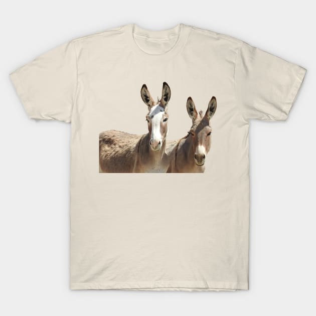 Wildlife, wild burros, Oatman, Arizona T-Shirt by sandyo2ly